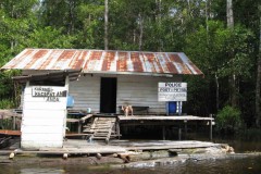 Borneo 2008