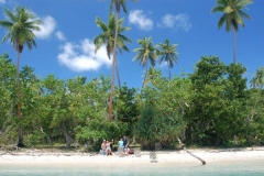 Kingdom of Tonga 2008