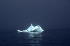 Newfoundland 2011