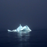 newfoundland07