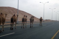 Oman 2009