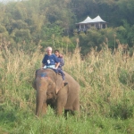 thailand_20090602_1089344284